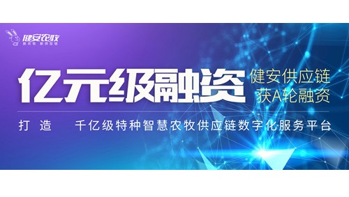 63d2ad1c-d731-459b-990d-555407fc9544.jpg