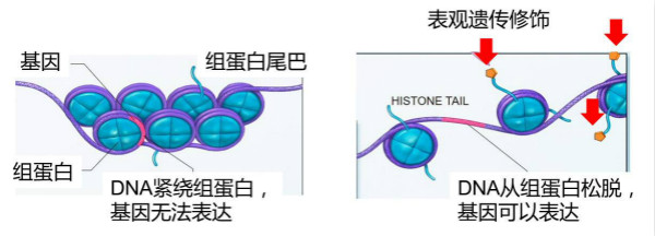 图片 54.png