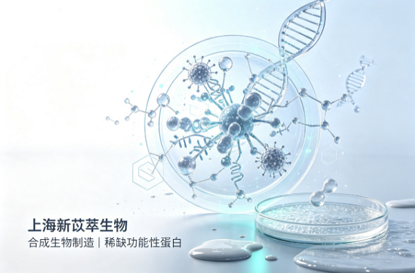 2345截图20260808201506.png