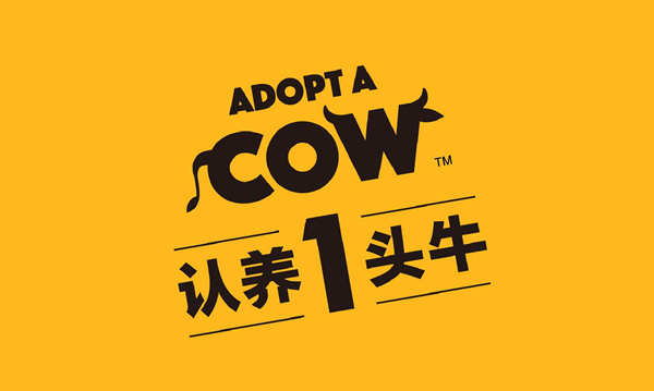 图片 915.png
